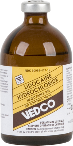 lidocane-hcl-inj-100mlsmall.png